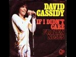 If I Didn’t Care – David Cassidy